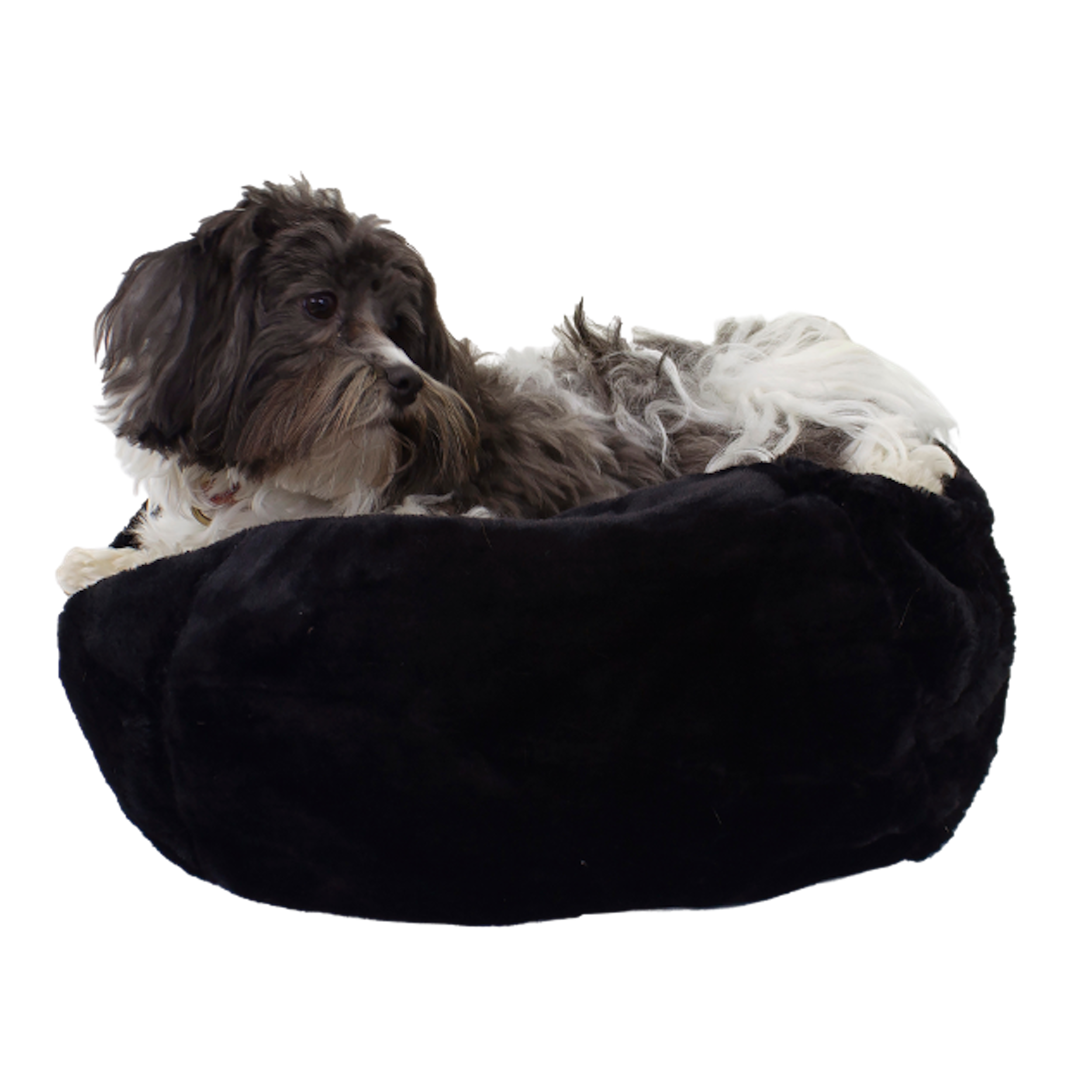 Burrow Bed | Charcoal