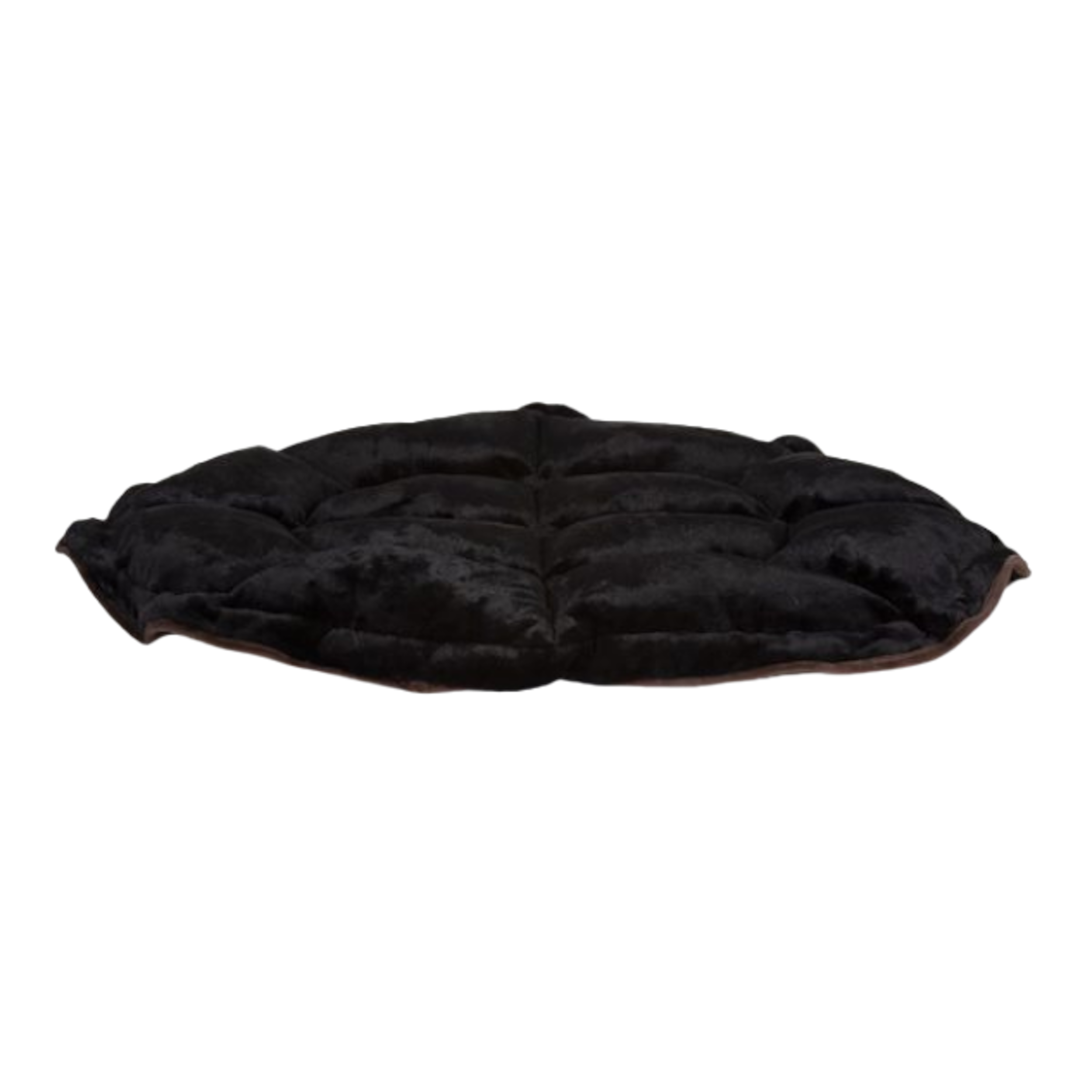 Lily Pad | Chocolate